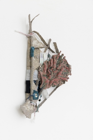 Isabel Nuño de Buen , Codex 16 (coral deep), 2021 , Mai 36 Galerie