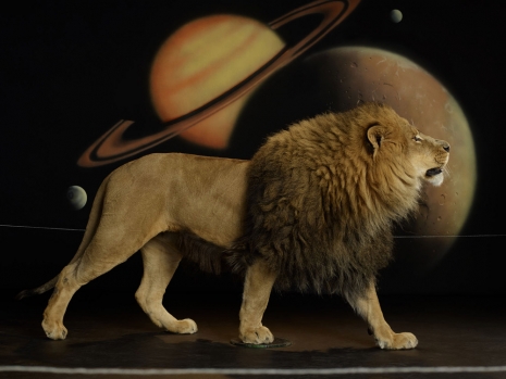 Awol Erizku, Lion (Body) I, 2022, Gagosian