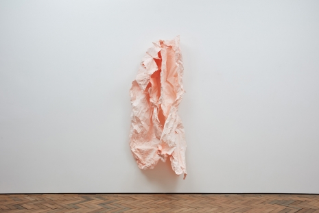 Karla Black, Comfort in Common, 2022 , Modern Art
