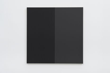 Steven Aalders, Shade (Black), 2021, Slewe Gallery