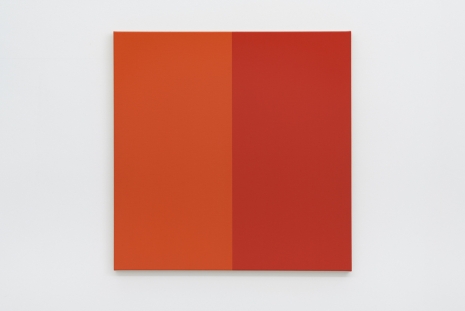 Steven Aalders, Shade (Red), 2021, Slewe Gallery