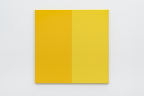 Steven Aalders, Shade (Yellow), 2021, Slewe Gallery