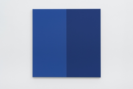 Steven Aalders, Shade (Blue), 2021, Slewe Gallery