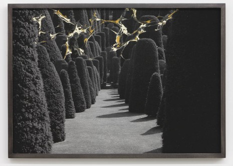 Maria Loboda, Formal garden in the early morning hours (3) , 2013, Andrew Kreps Gallery