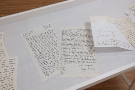 Dora García , 12 Attempts to Forge a Letter from Joyce to Ibsen, 2014 , Ellen de Bruijne PROJECTS