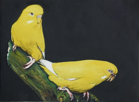 Léopold Rabus , 6 oiseau, 2020 , Wilde