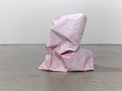 Karla Black, Could , 2013, Galerie Gisela Capitain