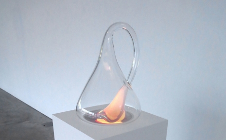 Gary Hill, Klein Bottle with the Image of Its Own Making (after Robert Morris), 2014, Lia Rumma Gallery