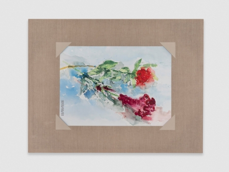 Mika Horibuchi, Watercolor of a Carnation and Velvet Flower Stem, 2021 , Bortolami Gallery