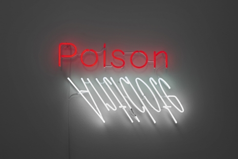 Cornelia Parker , Ghost Notes: Poison/Antidote, 2021 , Wilde