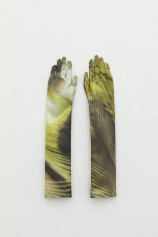 Marie Lelouche, Wing clipping # 2, 2022, Galerie Alberta Pane
