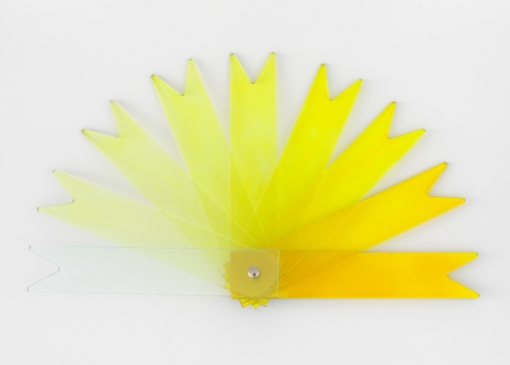 Marina Pinsky, Plein Air (Molybdate Comparator Fan), 2021 , 303 Gallery