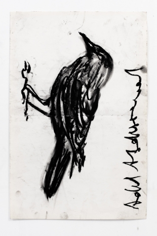 Adel Abdessemed , Politics of drawing, Oiseau, 2020 , Wilde