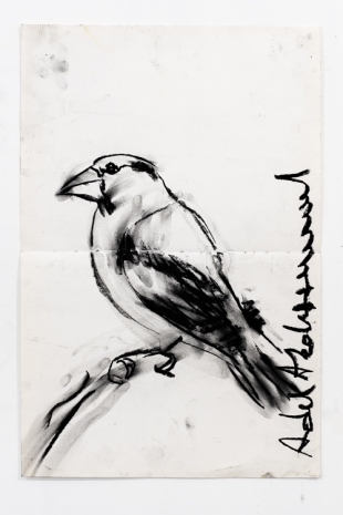 Adel Abdessemed , Politics of drawing, Oiseau, 2020 , Wilde