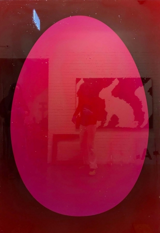 Fabian Marti , Deep Egg (Magenta 01), 2021 , Wilde