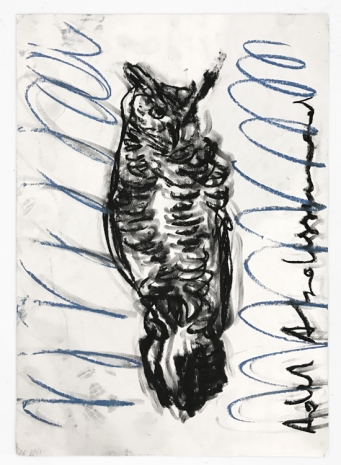 Adel Abdessemed , Politics in drawing, Owl, 2021 , Wilde