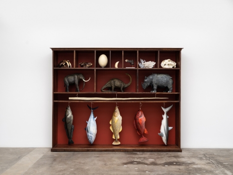 Mark Dion, Cabinet of Extinction, 2022 , Tanya Bonakdar Gallery