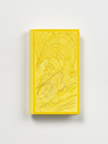 Sandra Cinto, Untitled II (from the Library of the Sun), 2022 , Tanya Bonakdar Gallery