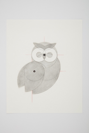 Mateo López, Owl, 2021, Casey Kaplan