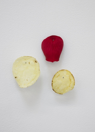 Davide Balula, A.I. Generated Instructions (Potato Flowers), 2022 , galerie frank elbaz