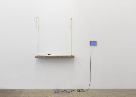Davide Balula, A.I. Generated Instructions (Dead Bird Neck), 2020 , galerie frank elbaz