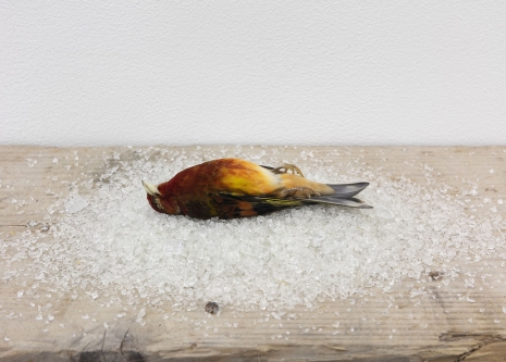 Davide Balula, A.I. Generated Instructions (Dead Bird Neck), 2020 , galerie frank elbaz
