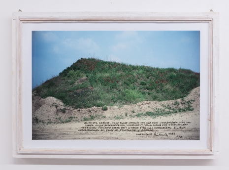 Lois Weinberger , Seeding Poppy, Acquired Areas, 1993 , KETELEER GALLERY