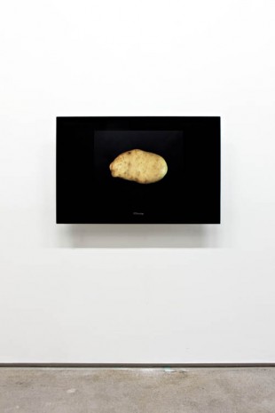 Nina Beier, Potato Potato, 2013, STANDARD (OSLO)