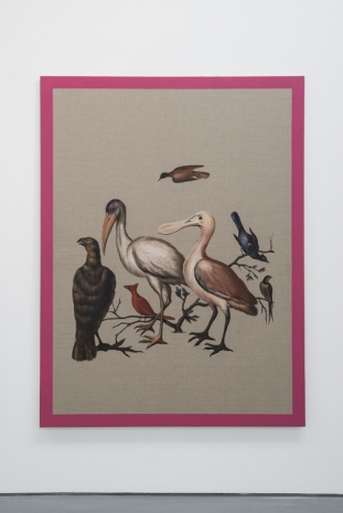 Gabriela Bettini, Sample of American Birds I, 2021 , Sabrina Amrani