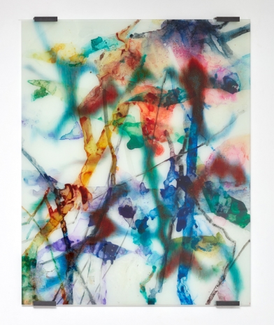 Carole Benzaken , Magnolias 35, 2021 , Galerie Nathalie Obadia