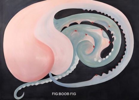 Laure Prouvost , The Octopus Body - Fig boob fig, 2022, Galerie Nathalie Obadia