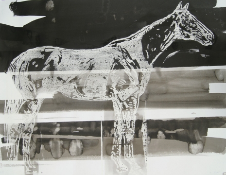 Johnny Miller, Horse 2, 2021 , Galerie Barbara Thumm