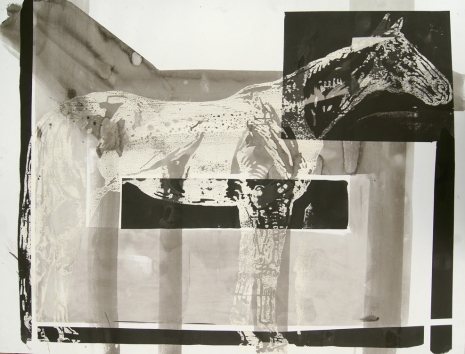 Johnny Miller, Horse 3, 2021 , Galerie Barbara Thumm