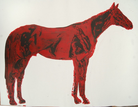 Johnny Miller, Red Horse, 2021 , Galerie Barbara Thumm