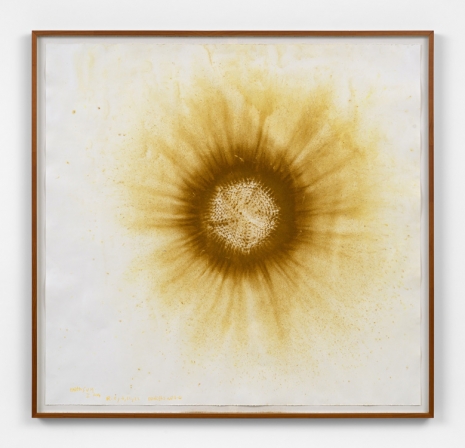 Ernesto Neto, Earth Sun I am, 2022 , Tanya Bonakdar Gallery