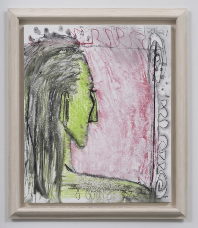Carroll Dunham, Green Female (5), , Galerie Max Hetzler