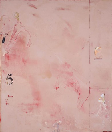 Brenna Youngblood, Mugshot (Alpine Pink), 2012, Galerie Nathalie Obadia