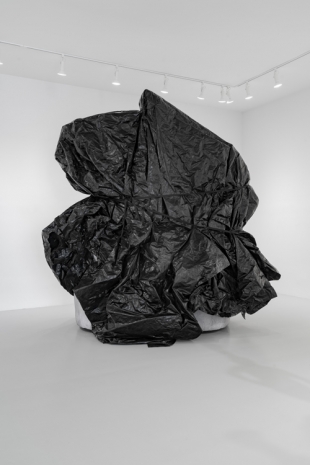 Michael Rakowitz, Behemoth, 2022 , Rhona Hoffman Gallery