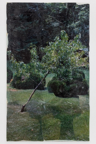 Kevin Beasley, Peach Tree, 2022 , Regen Projects