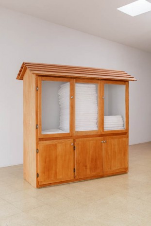 Fiona Connor, Object No. 13, Bare Use (towel cabinet), 2013, 1301PE