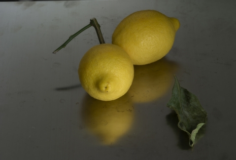 Morten Andenæs, A pale yellow, oval citrus fruit, with thick skin and fragrant, acidic juice, 2022 , Galleri Riis