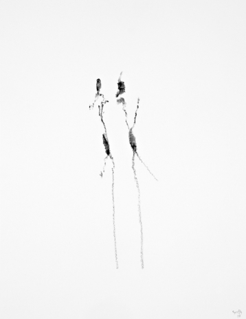 Jan Groth, Untitled, 2010 , Galleri Riis