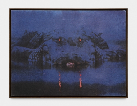 Tommy Malekoff, Gator Glow, 2022, Art : Concept