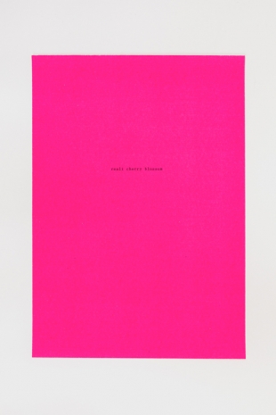 Sue Tompkins, reali cherry blossom, 2022 , The Modern Institute