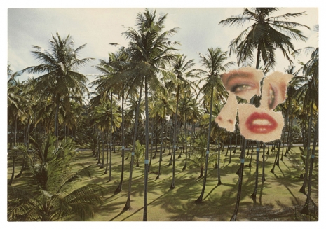 Ellsworth Kelly, Images des Antilles 2/5, 1984 , Matthew Marks Gallery
