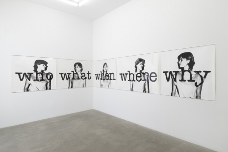 Uta Barth, Who, Where, When, What, Why, 1982-84 , Tanya Bonakdar Gallery