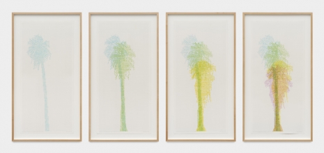 Charles Gaines, Numbers and Trees: Palm Canyon Series 5, Set 6 (quartet), 2022, Galerie Max Hetzler