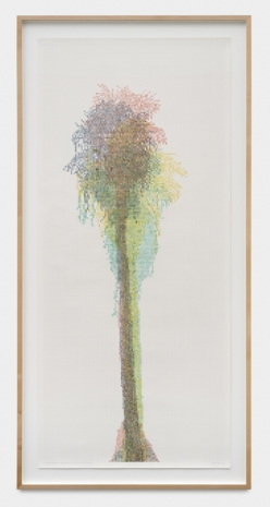 Charles Gaines, Numbers and Trees: Palm Canyon Series 7, Set 8 (quartet), Tree #4, Nomlaki, 2022, Galerie Max Hetzler