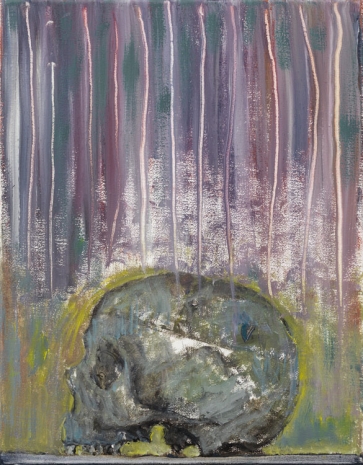 Sabine Moritz, Skull, 2016 , Marian Goodman Gallery