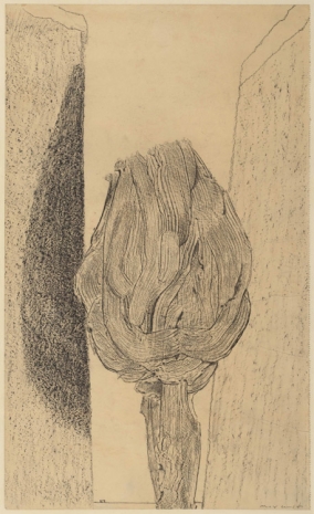 Max Ernst , Tête de feuilles , 1925 , The Mayor Gallery